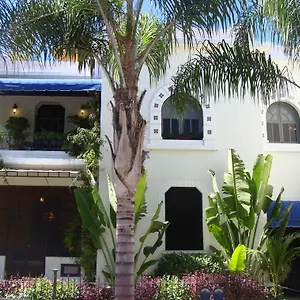 book here